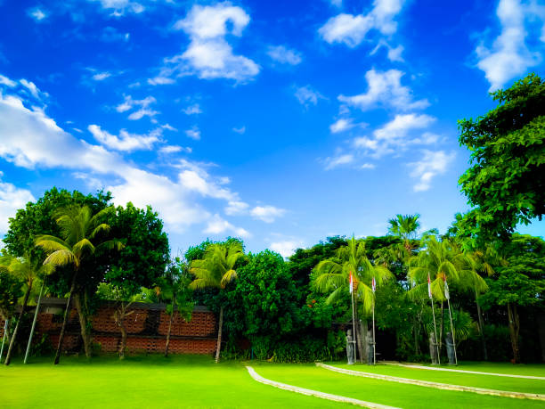 Greenery garden and pathway near the beach.