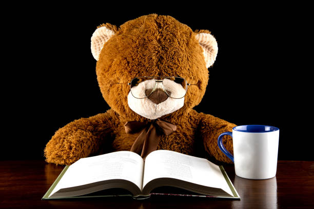 Stuffed animal in light and shadow.