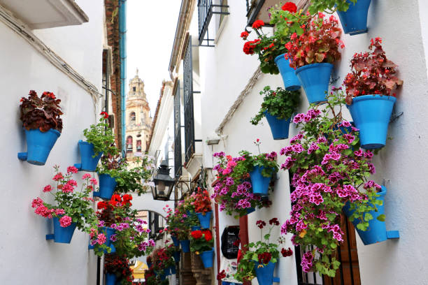 Calleja de las Flores in Cordoba, a narrow alley in the old town with blue flower pots hanging on the white walls