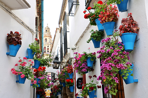 Cordoba, Spain - May 10th 2018: The popular street of Alley of the Flowers in Cordoba historic center