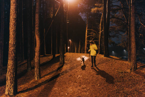 istock Young woman enjoying her evening run with her dog 2149230423