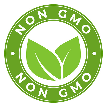 Green Non GMO isolated round stamp sticker with Leaves icon vector illustration