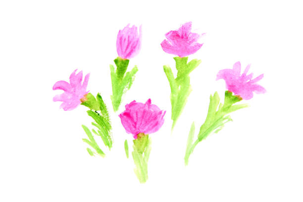 Delicate Pink Flowers Drawn with Paint. Sweet Summer Illustration, Template for Your Creative Design, For Print on Clothes or Accessories.