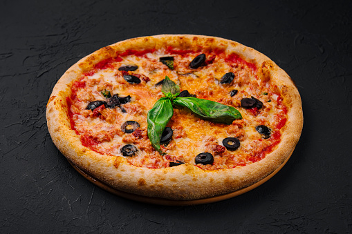 Appetizing cheese pizza garnished with black olives and fresh basil leaves on a dark background