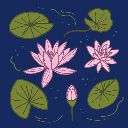 Swamp with water lilies. Hand drawn green Lily pads pink Lotus flowers on dark background. Flora with aquatic plants, botanical texture, overgrown pond, wetlands. Vector illustration for card, flyer, poster, print, template
