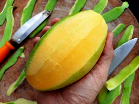 Cutting and Peeling Mango Fruit.