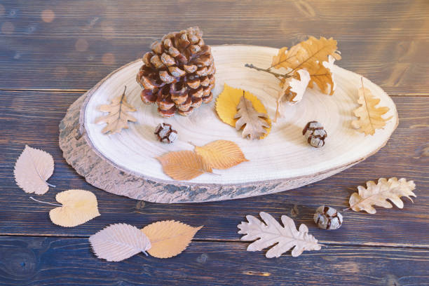 istock Autumn. Dry leaves and pine cones on dark rustic table 2149241352
