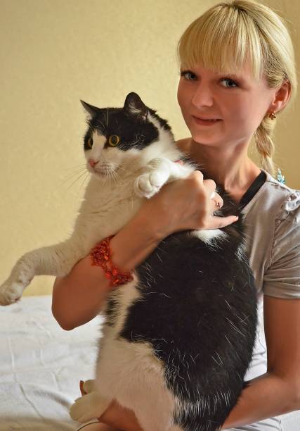 istock Beautiful girl with cats in her arms. 2149242401