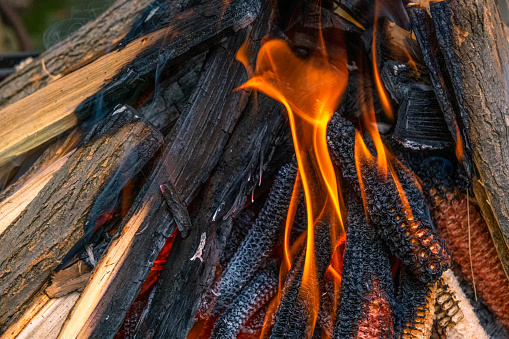barbecue fire with cleaned  cobs and chopped wood, close view