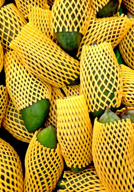 Mango fruits in protection nets - Bangkok fruit market.