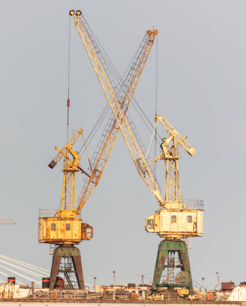 A sea crane stands on the water.