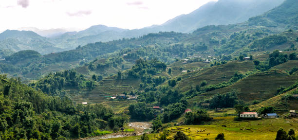 This photograph was taken on November 19, 2023 in Sapa, northern Vietnam. Sapa is the perfect place to discover the landscapes of rice fields that are cultivated on terraces on the slopes of the mountains. There we can learn about the culture of minority ethnic groups and their crafts. The photographs reflect the route that was taken crossing the rice fields in the company of ethnic women.
