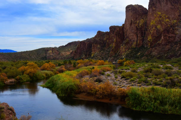 istock Salt River Recreation Area Arizona 2149247577