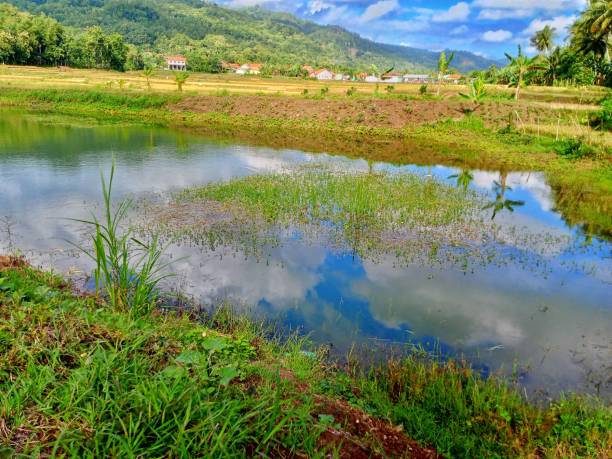 istock The beauty of natural scenery 2149247742