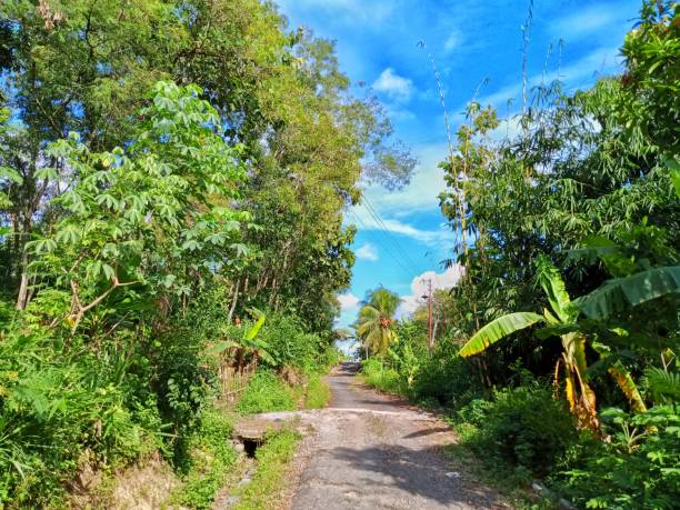 istock The beauty of natural scenery 2149247997