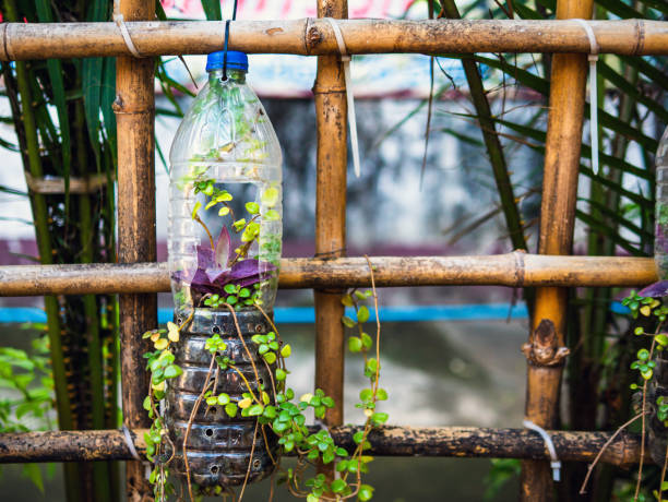 istock Creative ideas for making plant holders from recycled plastic bottles. These can be used to decorate your garden or home while reducing packaging waste. 2149248337