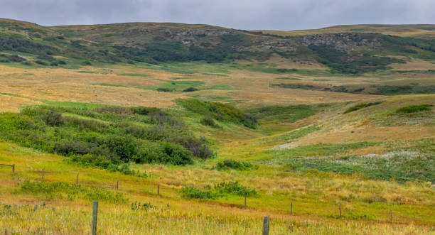 istock MD of Willow Creek, Alberta, Canada 2149248776