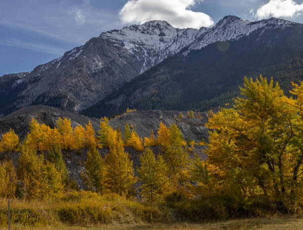 istock Municipality of Crowsnest, Alberta, Canada 2149249268
