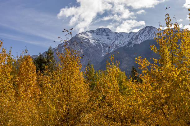 istock Municipality of Crowsnest, Alberta, Canada 2149249420