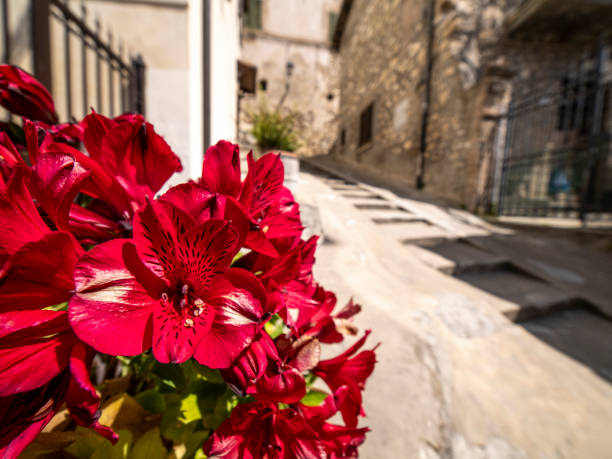 Medieval village in the Metropolitan City of Rome