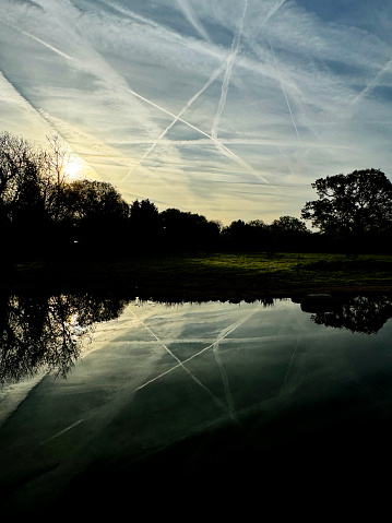 Vapour trails in the early morning reflected in a garden pond behind a silhouetted trees