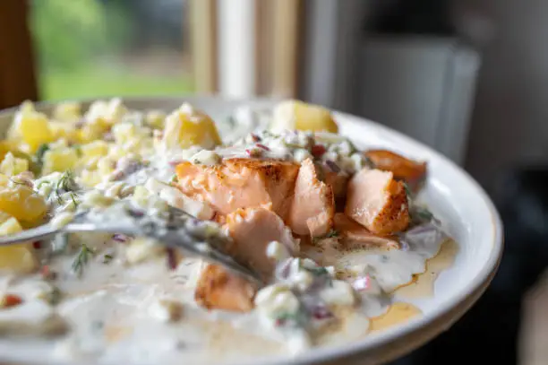 Fresh pan fried salmon fillet with boiled potatoes and yogurt apple dill sauce on a plate