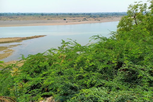 Agricultural, Tilakwad, Narmada River,  Gujarat