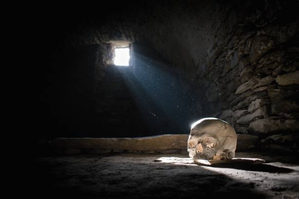 istock Human skull in the scary underground, spooky old  cellar 2149254671