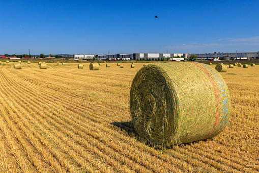 Straw bales on harvested field of the industrial agriculture in Pennsylvania
