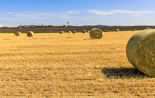 Straw bales on harvested field in Pennsylvania. A water tower and mountains visible on the horizon against a blue sky.
