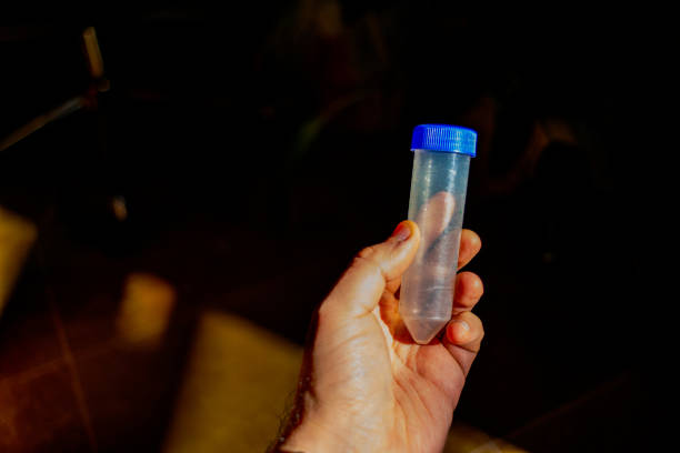 A photo of holding Falcon tube in a sunny lab depicts scientific research and experimentation in a well-lit laboratory setting.
