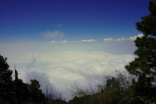 Hiking Acatenango in Antigua Guatemala, getting just above the clouds