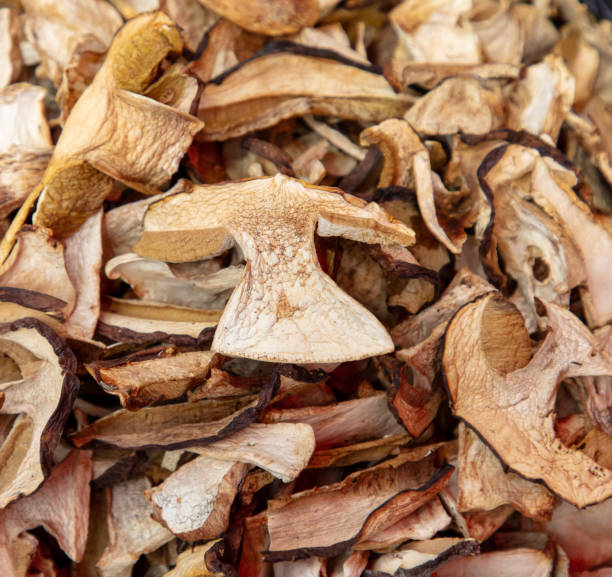 istock Dried porcini mushrooms as a background. Close-up 2149262317