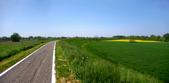 Mezzano (Re),Italy, a landscape of the cycle path in the floodplain of the river Po