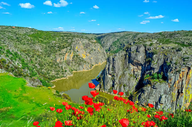 Unique landscape, Arribes del Rio Duero cliffs, Miranda de Duero. Portugal.