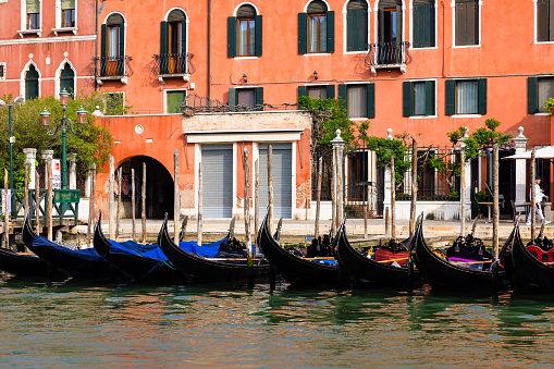 Gondolas line the Grand Canal. They are a touristic attraction in Venice.