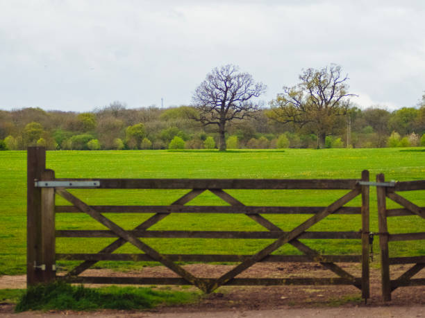 istock Gate into a green grass field in the countryside 2149266278