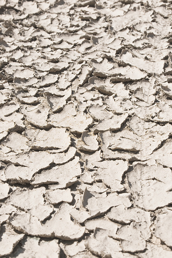 Cracked, arid, and desolate ground, a consequence of desertification and an arid climate - Infertile land parched by the sun.