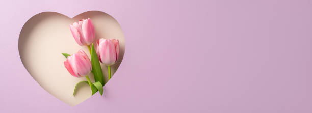 istock Classy spring holiday theme: Top view of fresh tulips, visible through heart-shaped frame on soft lilac background. Perfect for messages or ads 2149267238