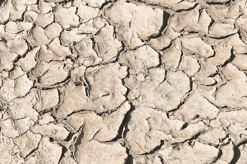 Cracked, arid, and desolate ground, a consequence of desertification and an arid climate - Infertile land parched by the sun.