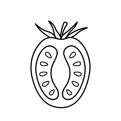 Half a cherry tomato. Hand drawn sketch icon of vegetable. Isolated vector illustration in doodle line style.