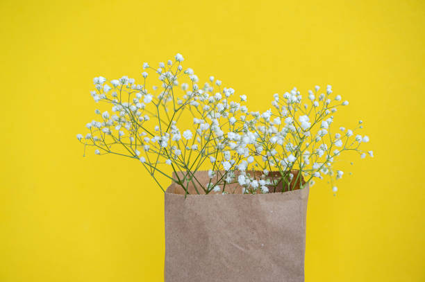 istock Craft package with gypsophila flowers on a bright yellow background. View from above. Copy space 2149270273