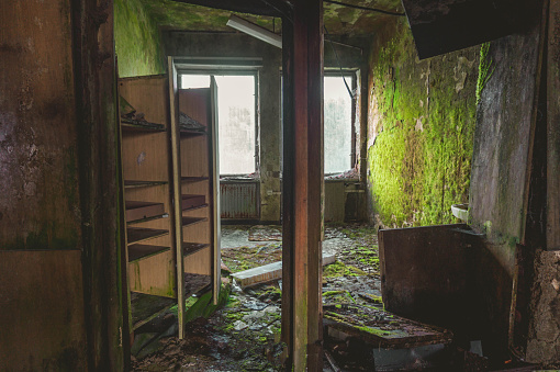 interiors covered with mold, moss, ferns, damp, old architecture of a hotel in mountainous areas with damaged interior furnishings