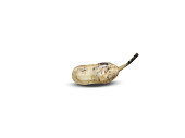 peanut or Arachis hypogaea