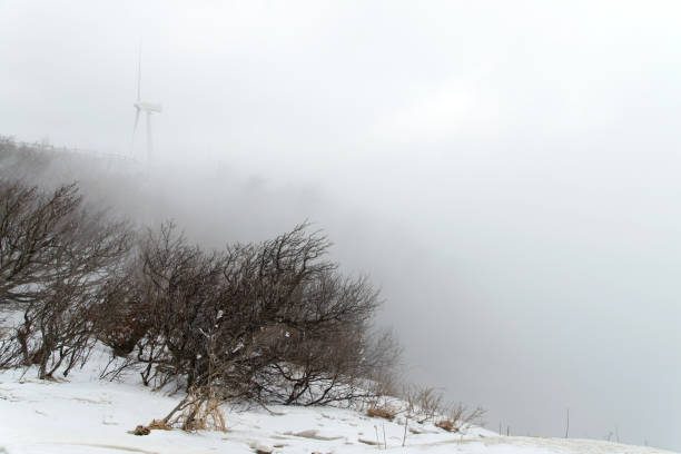 with snow and clouds in winter