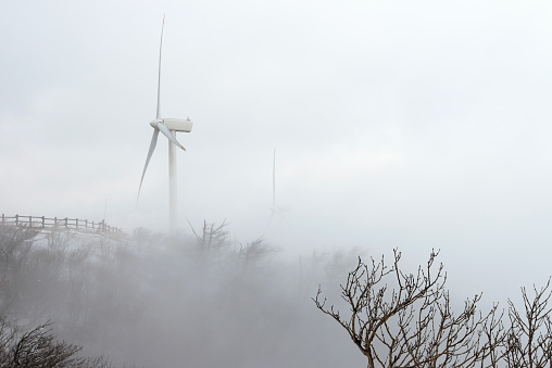 Traditional Dutch windmills on a beautiful frosty and foggy morning. A seamlessly stitched panoramic image.