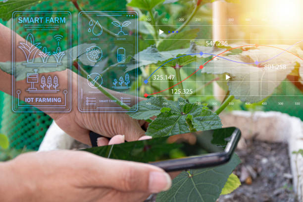 istock The concept of using AI and smart farming. 2149274160