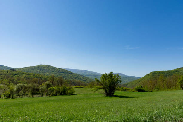 istock Idyllic Pasture and Hillside Landscape Under a Sunny Spring Sky 2149277106