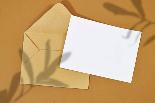 istock Blank greeting card, flyer or invitation card mockup and brown envelope with ruscus plant shadow, Valentines or women's day heart on brown background 2149278341