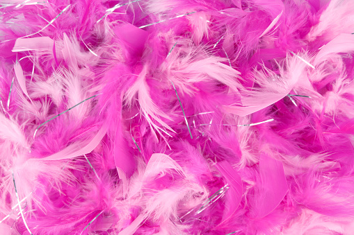 close up of the pink feather party background
